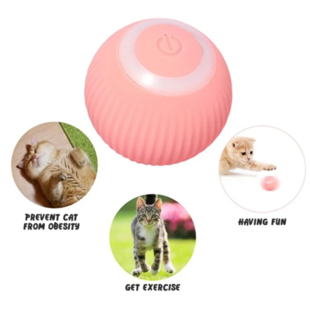 Smart Cat Ball Toy